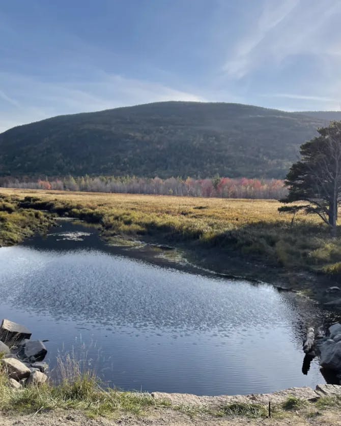 View of a lake