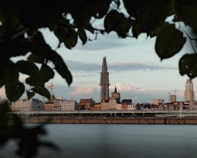 A peak at Antwerp's skyline from across the river, and framed by natural leafs and foliage.