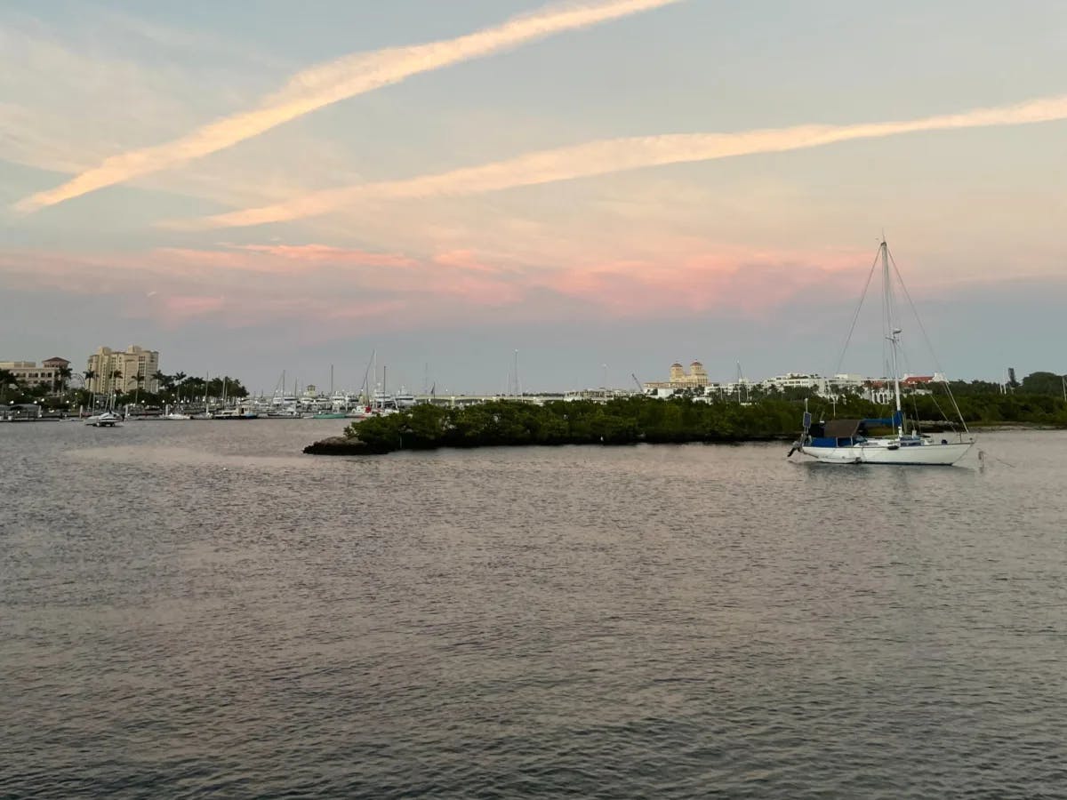 A sailboat in a harbor surrounded by a peninsula and a pink, cloudy sky. 