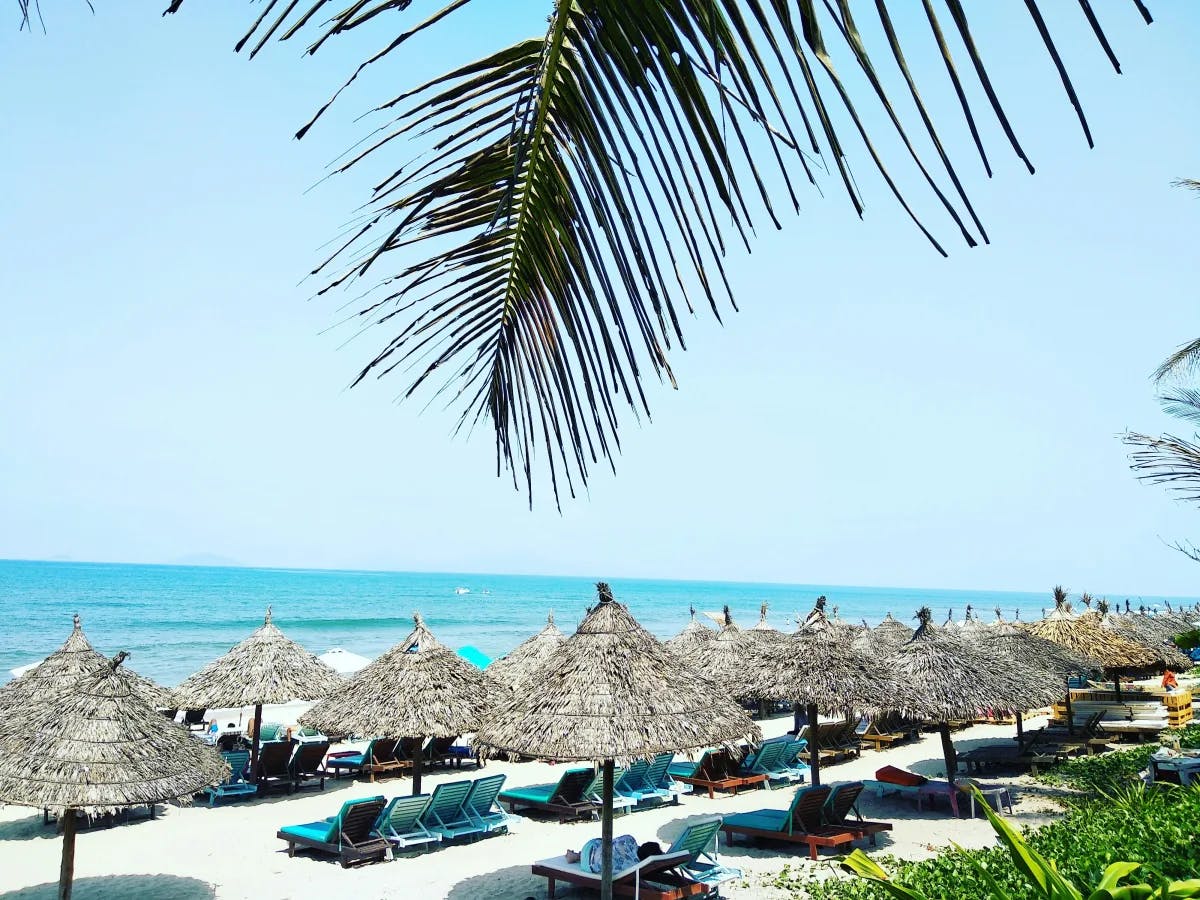 A view of a beautiful beach with rows of straw umbrellas and sun loungers on a sunny day in Hoi An, Vietnam.