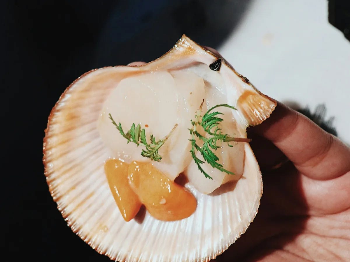 A person holding food on a shell.