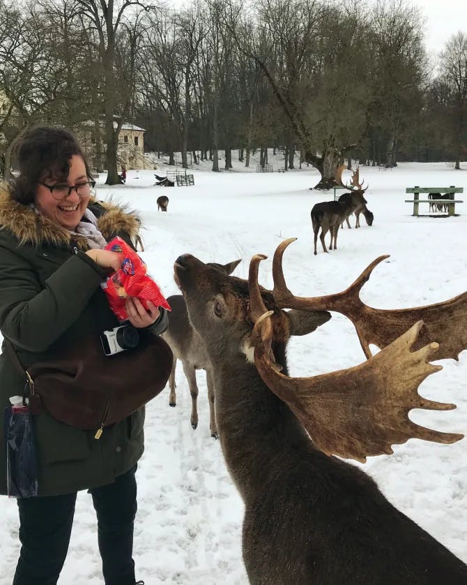 Travel Advisor Amneris Dominguez fed the deer on her travel.