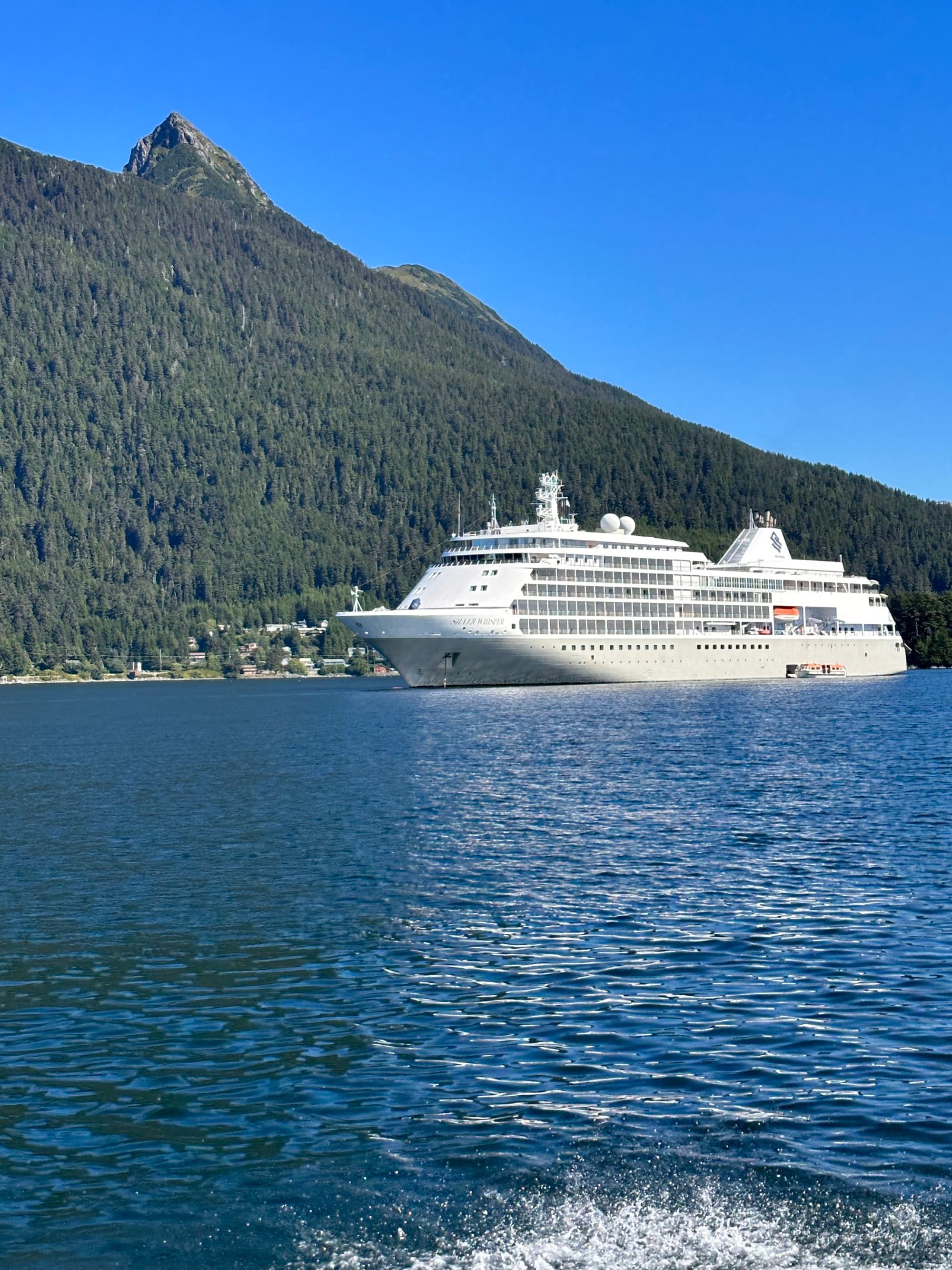 Cruise ship with mountains in the background.