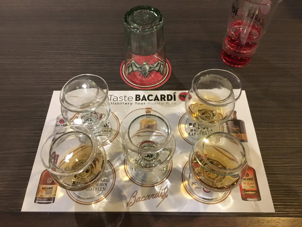 bacardi Tasting