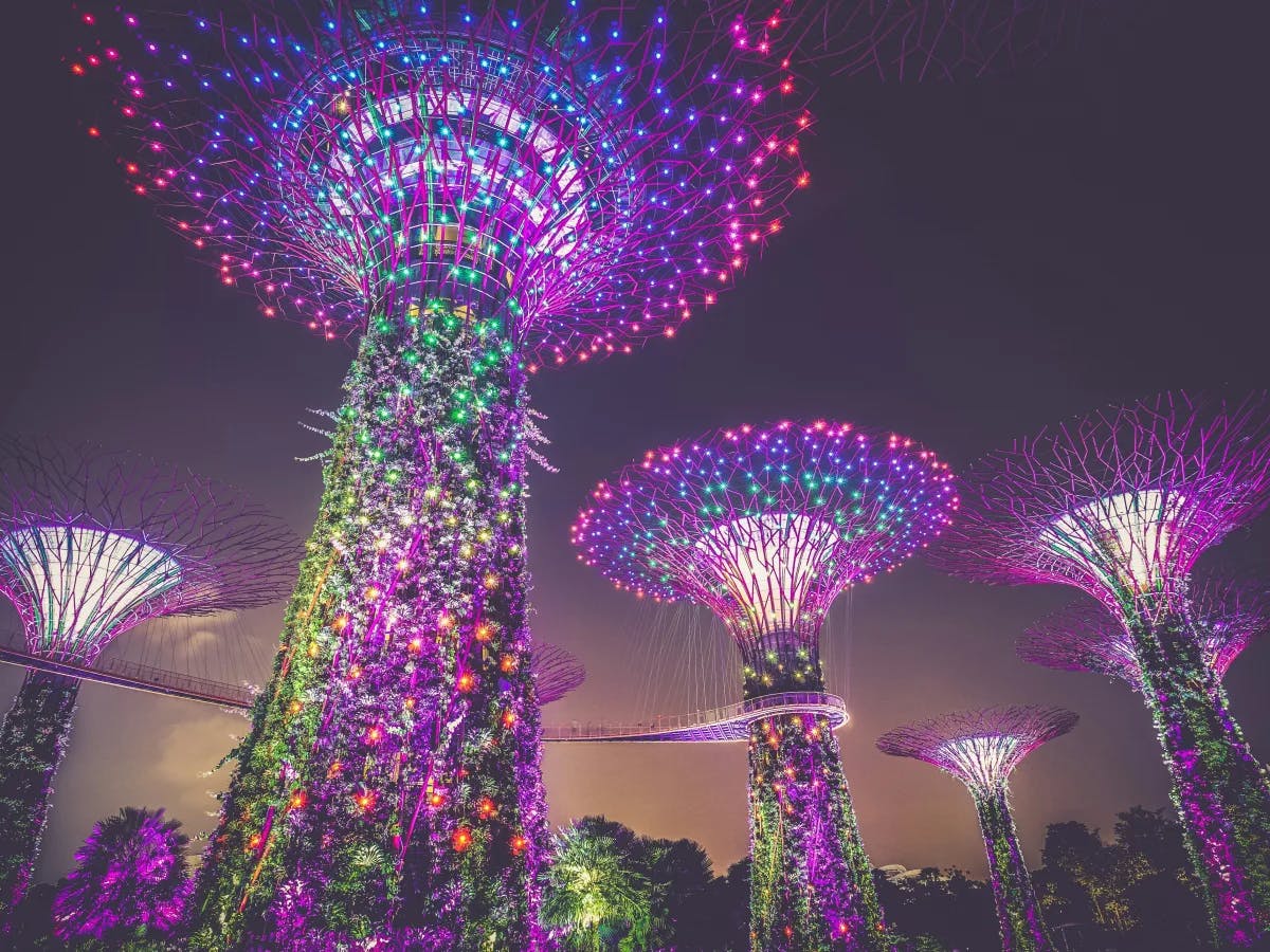 A picture of multi-colored lights on tall posts taken during nighttime.