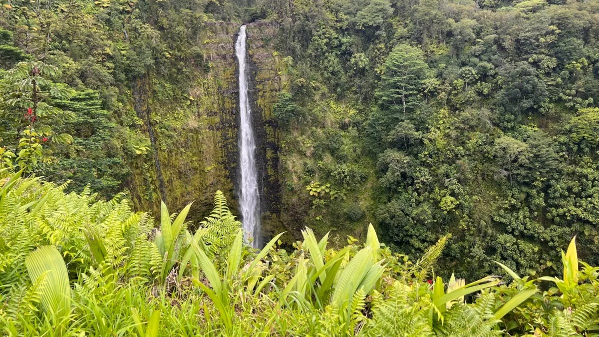 Waterfall from a mountain surrounded by trees and greenery.