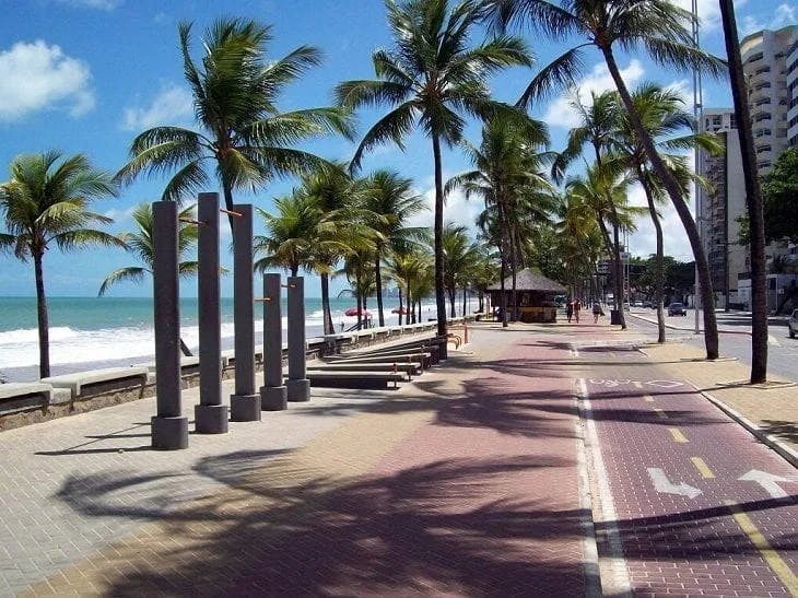 palm trees on the side of a biking path along the city's coast line