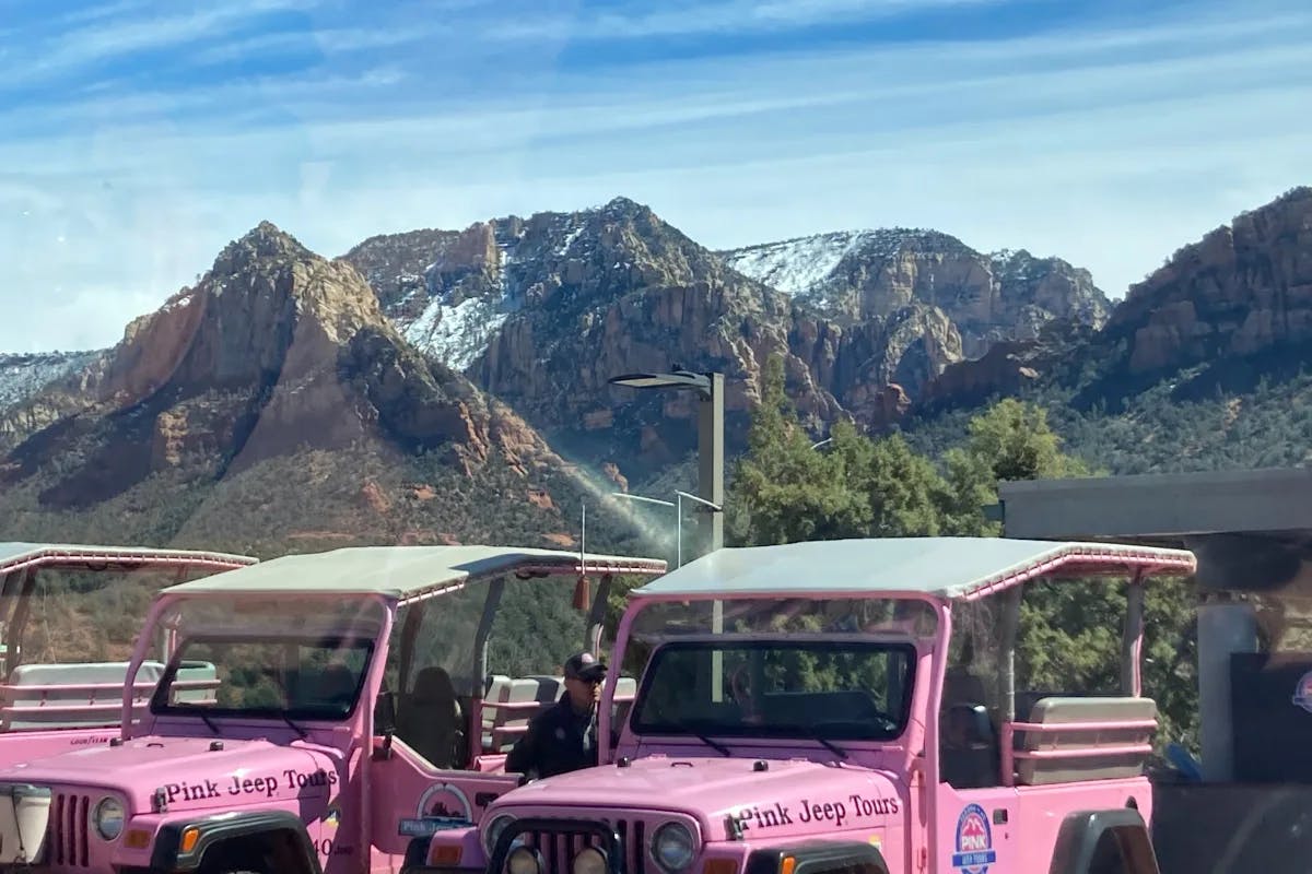 Pink Jeep trucks sitting in front of a mountain range