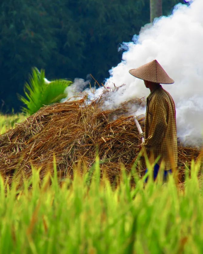 A view of a field worker with foliage surrounding and steam in the background on a sunny day.