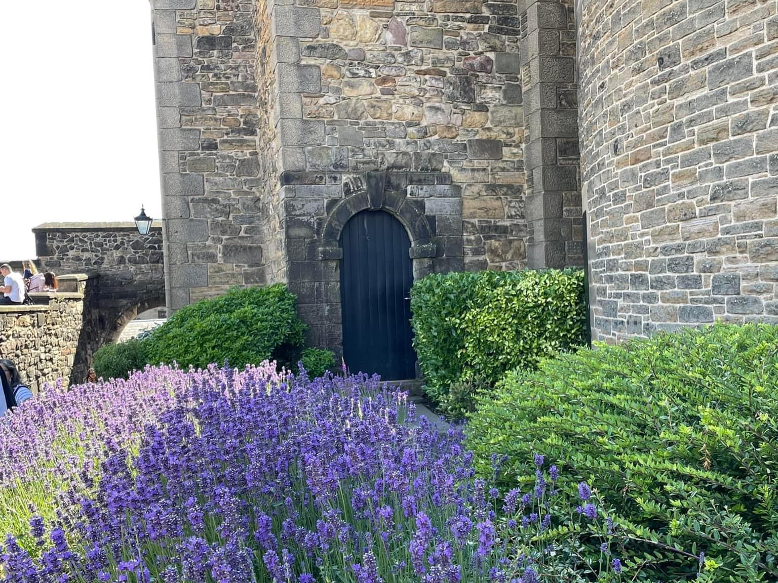 Purple flowers and green hedges beside a castle wall in Edinburgh during the day.