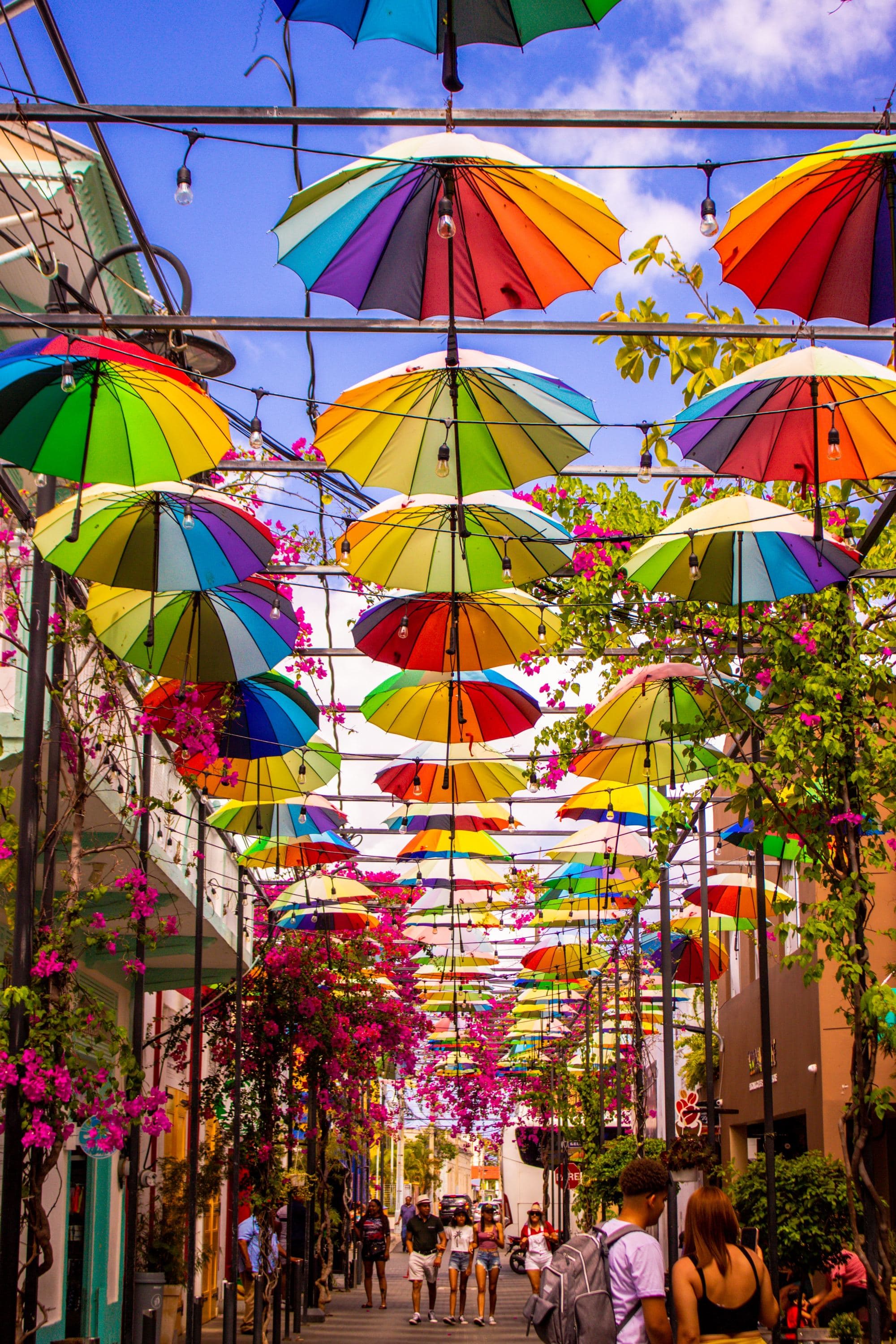 Umbrella street in the historic center