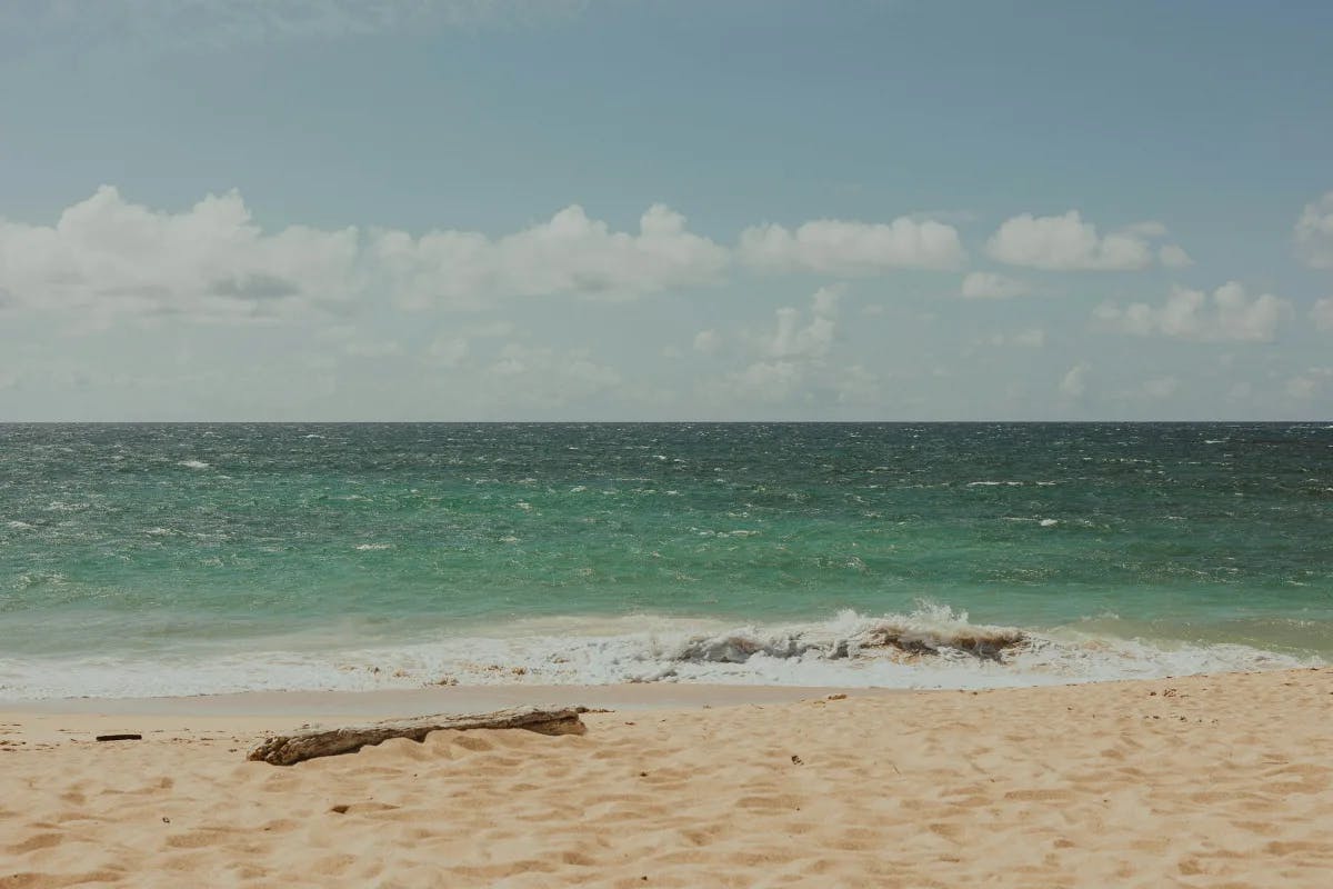 Catch some waves as you take a final stroll at Maui beach.