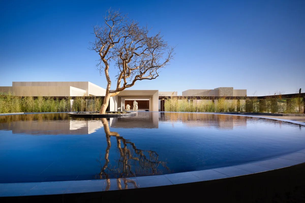 sleek reflecting pool with single tree in front of contemporary hotel