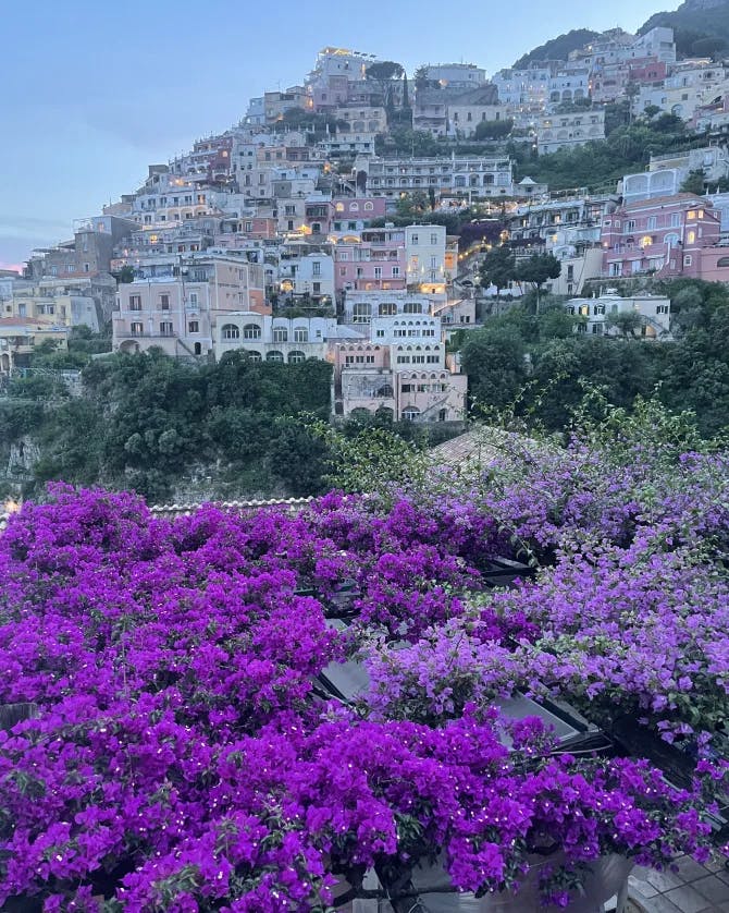 purple flower field in front of a cliff-side town covered with white buildings 