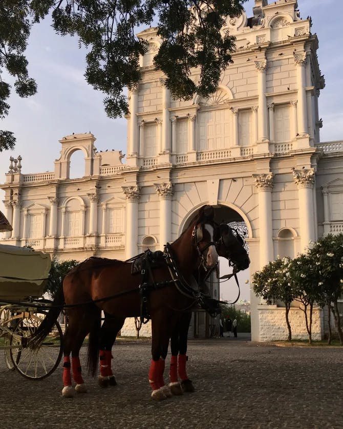 View of a building and horse cart