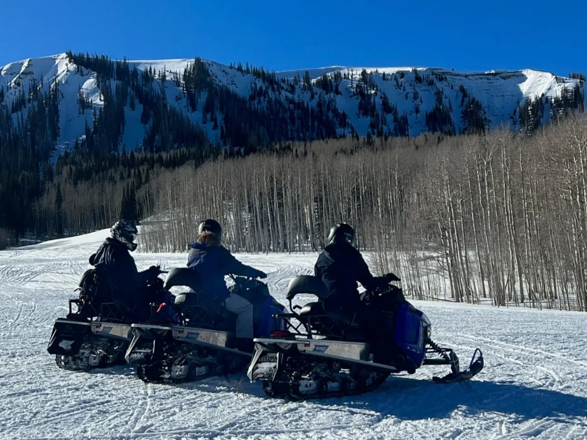 A view of three people riding snow mobiles down snowy terrain with a forest of trees and mountains in the background. 