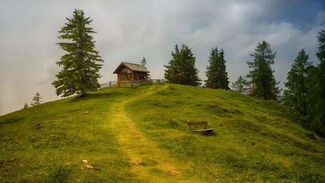 A quaint, wooden, country home on top of a grassy hill, situated amongst a few evergreen trees. 