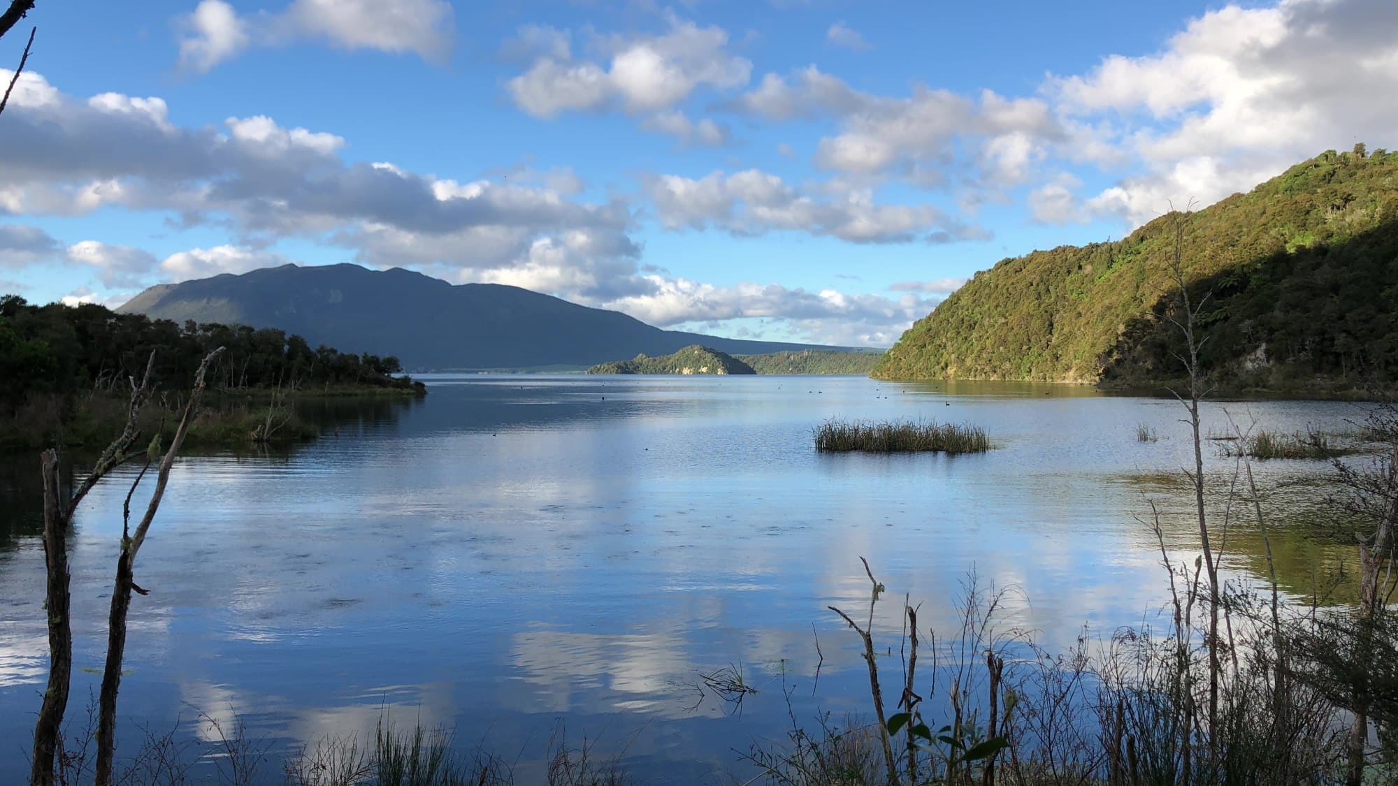 Lake Rotomahana - Steve Michailidis 