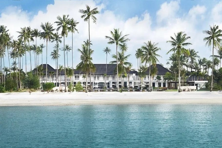 A view from the water of a large white building on a beach shore, behind multiple palm trees