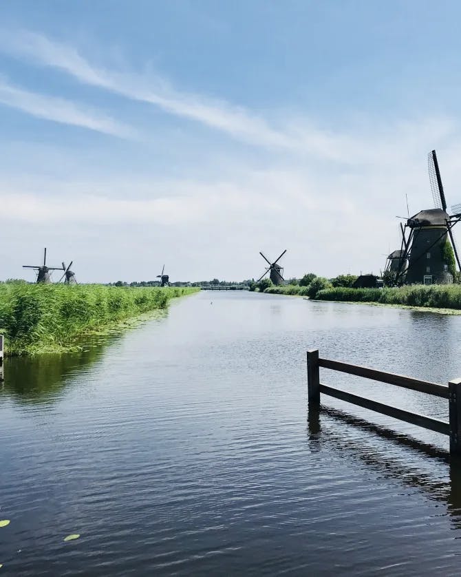 Picture of Unesco Werelderfgoed Kinderdijk