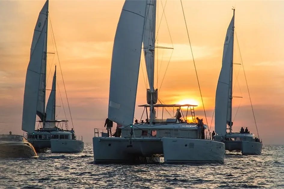 Catamarans sailing on the ocean at sunset.