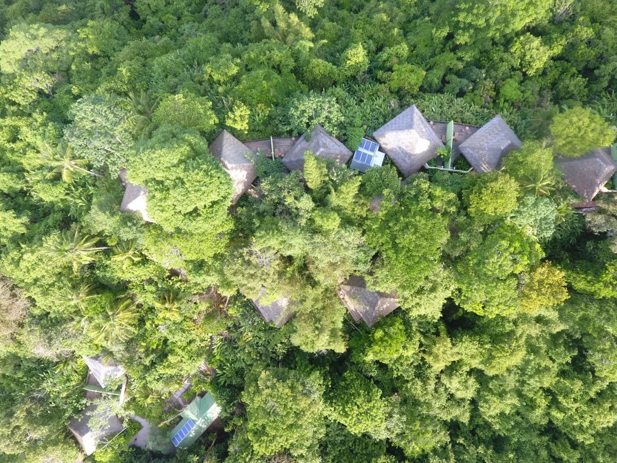 aerial view of buildings in the jungle