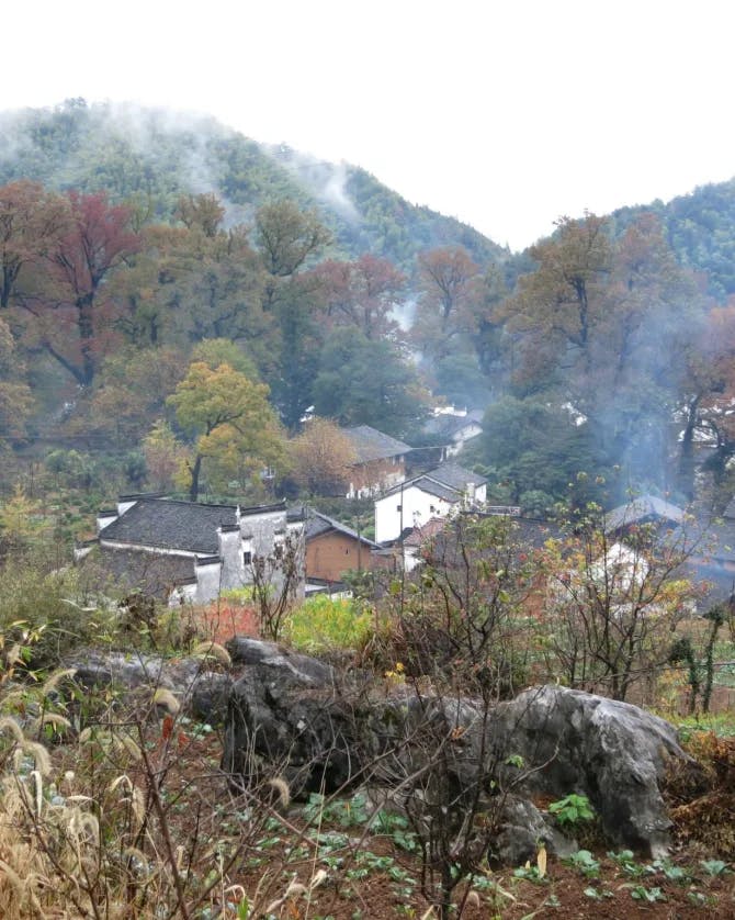 A view of Wuyuan complete with trees, fog, houses and mountains in the background.