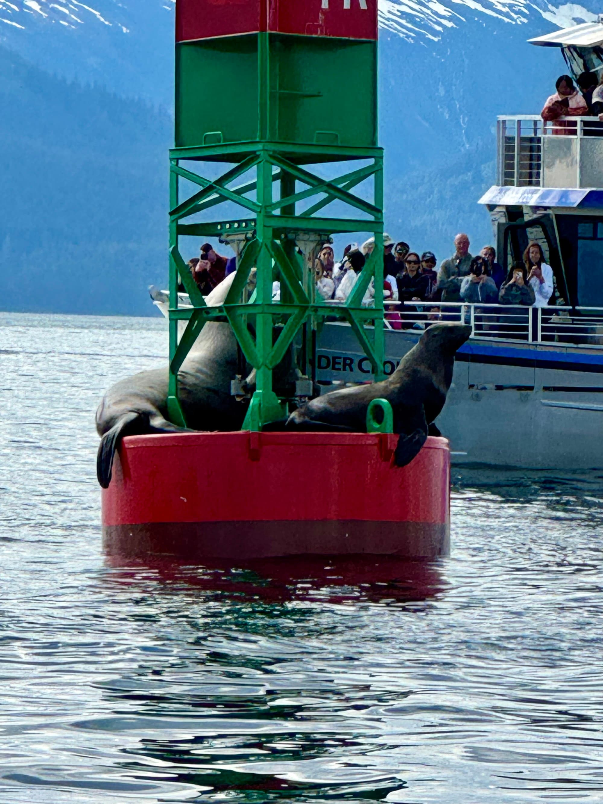 View of seals on a large buoy and a boat from a cruise ship.