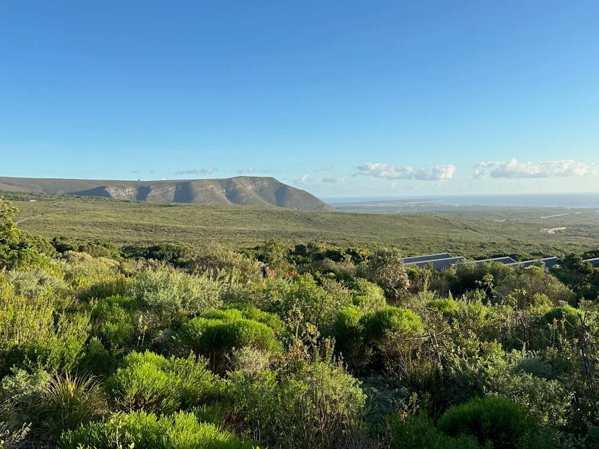 View of a valley with Table Mountain in the distance on a clear day.