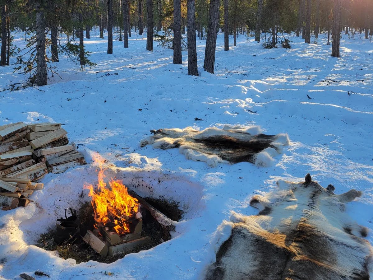 A bonfire in a snowy field in the forest.