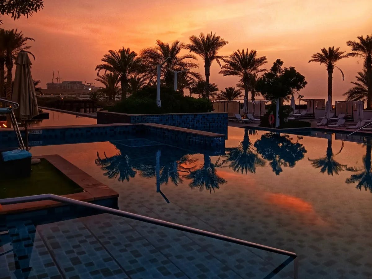 Pools with palm trees at the back during sunset.