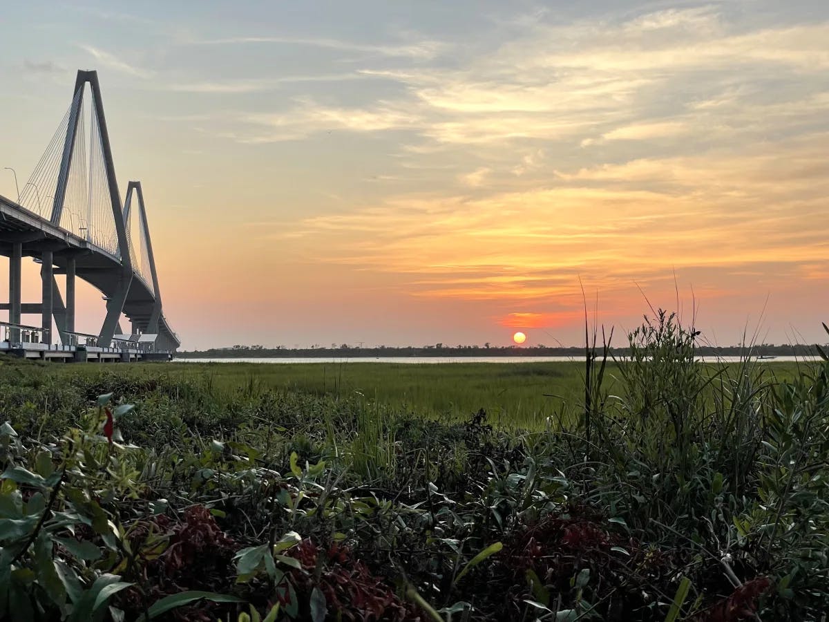 grass sunset view side bridge