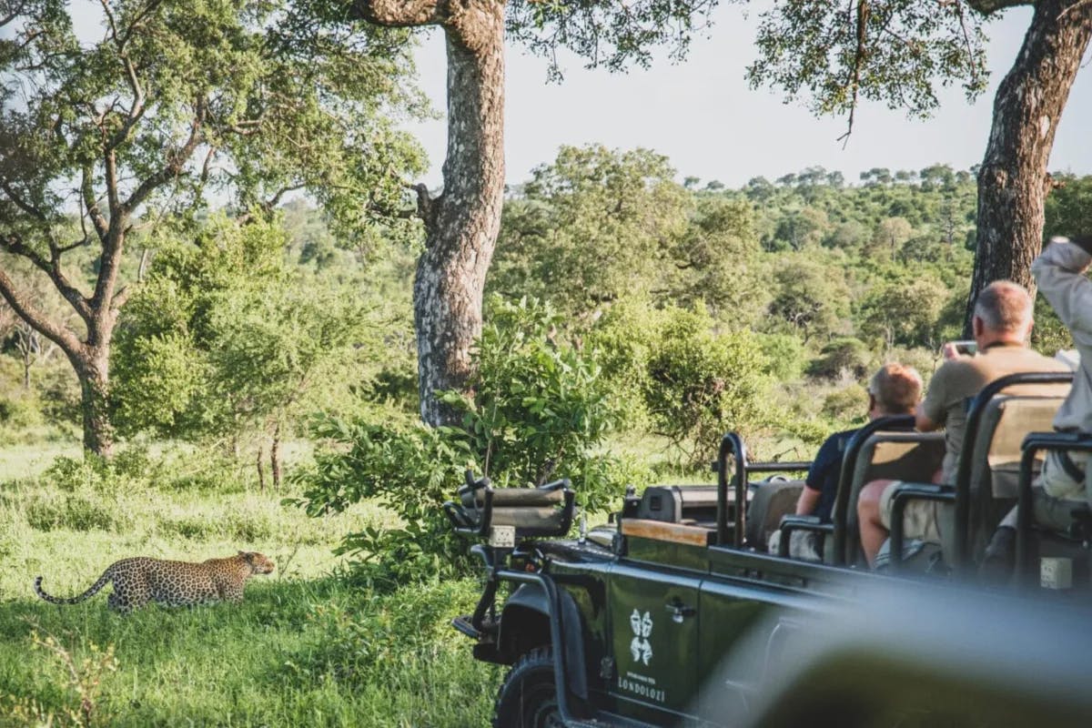 Londolozi Private Game Reserve offers various safari activities