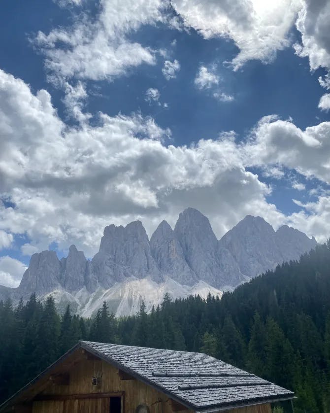 Beautiful view of the Dolomites and trees in the foreground on a sunny day