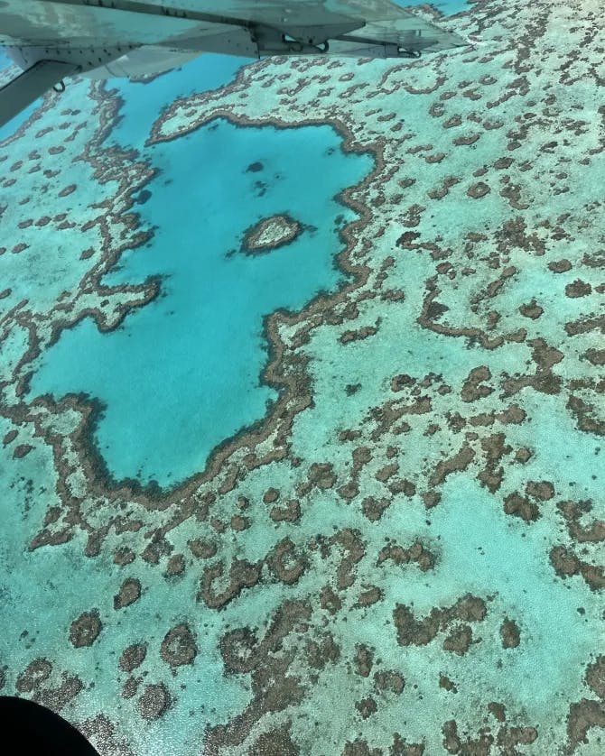 Gorgeous aerial view of a turquoise ocean with coral reef and rocks visible below the surface