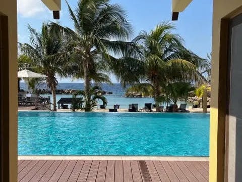 A view of a wooden deck and blue swimming pool surrounded by large palm trees and the ocean.