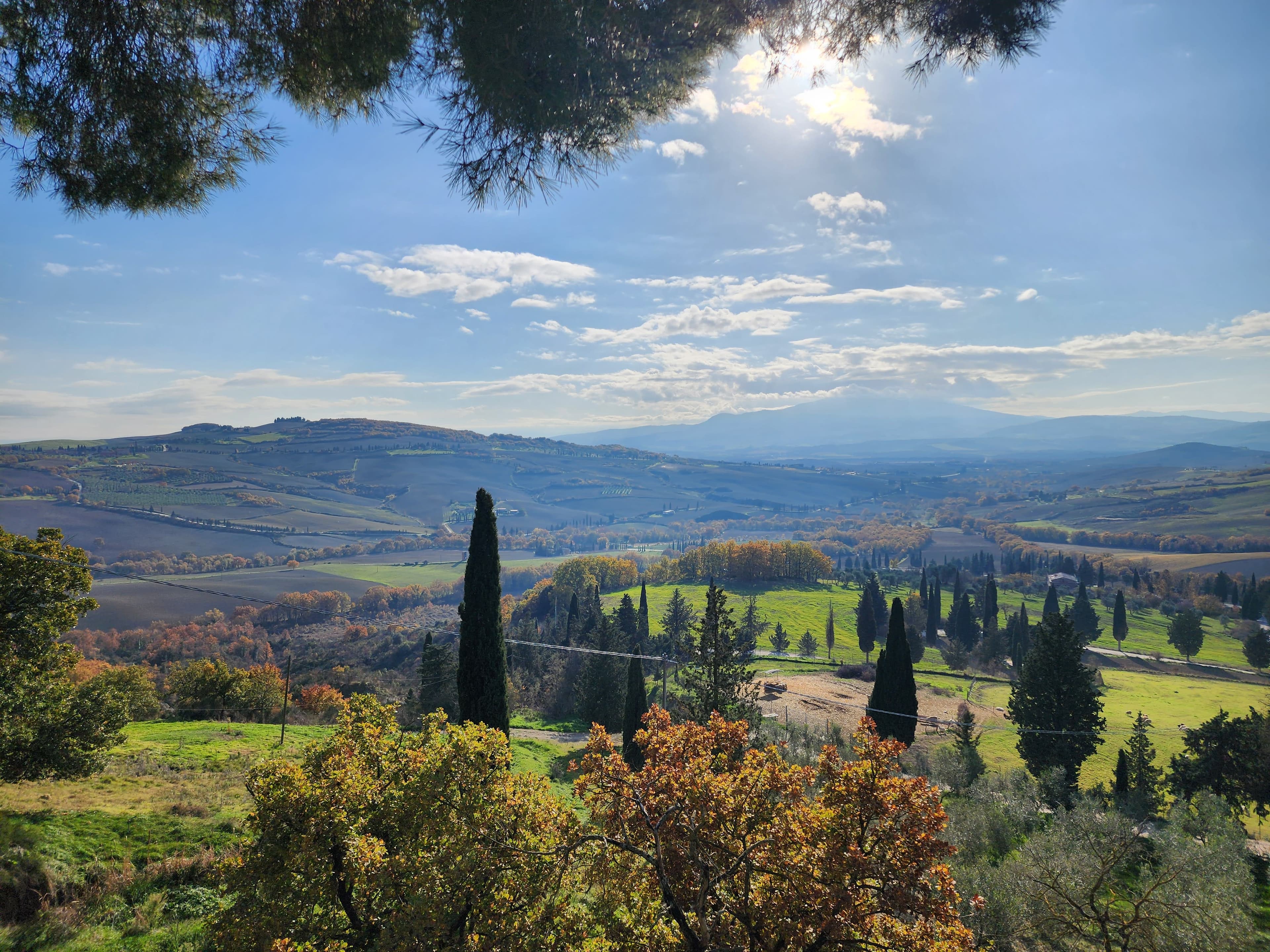 Montepulciano, Tuscany, Italy curated by Jason Hair-Wynn