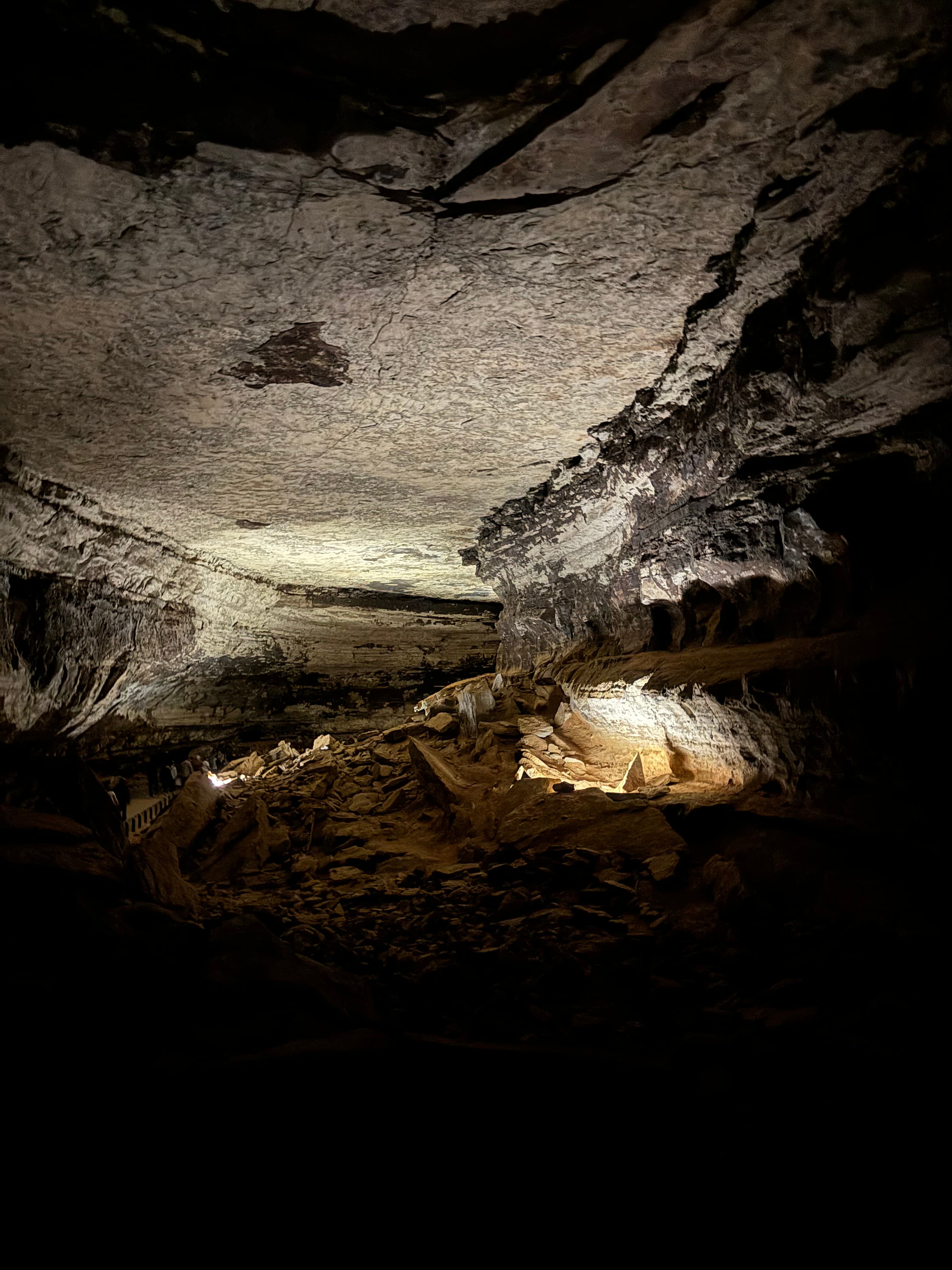 The picture depicts Mammoth Cave, vast underground chambers with rich geological history.