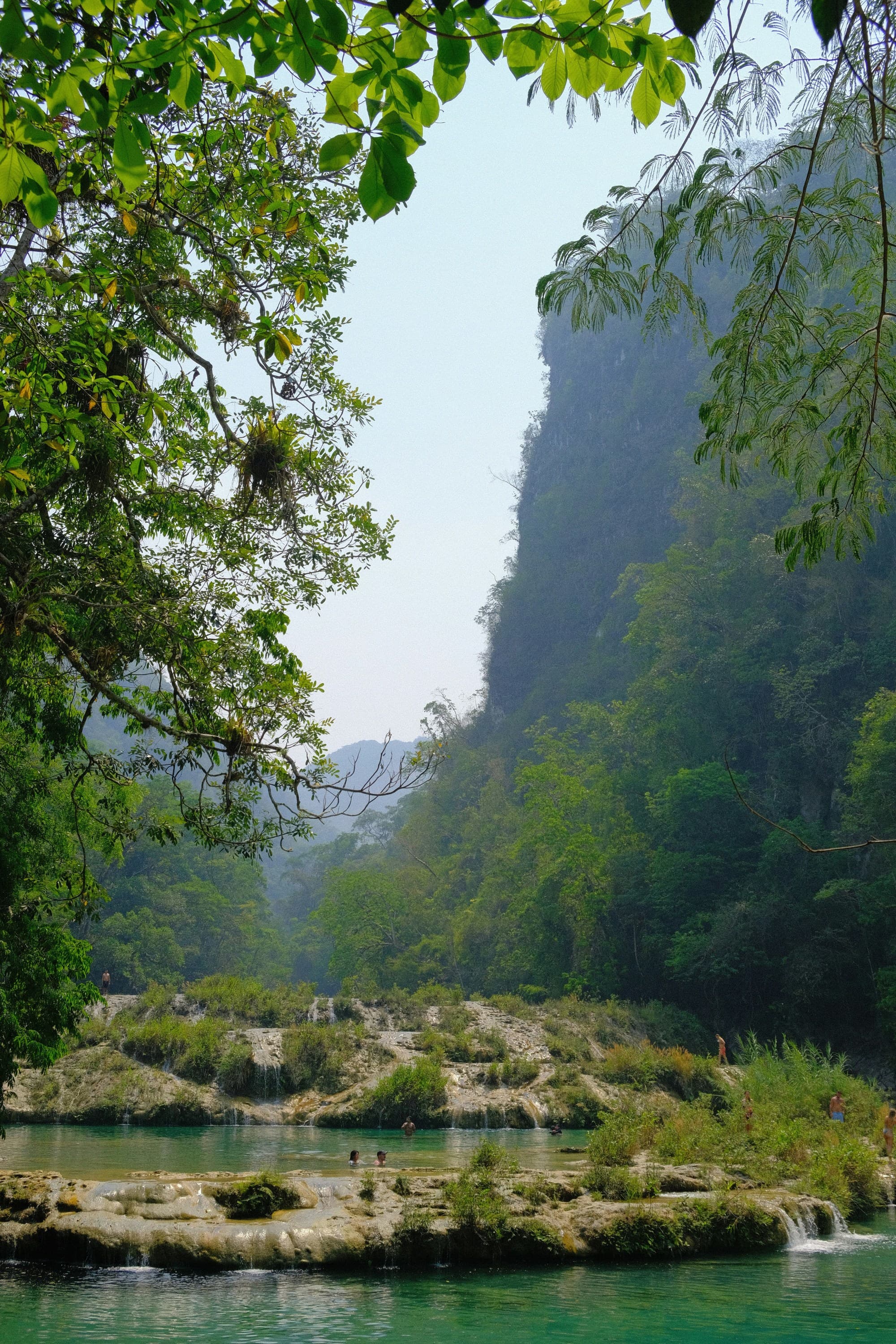 A river with lush foliage around it and cliffs in the background.