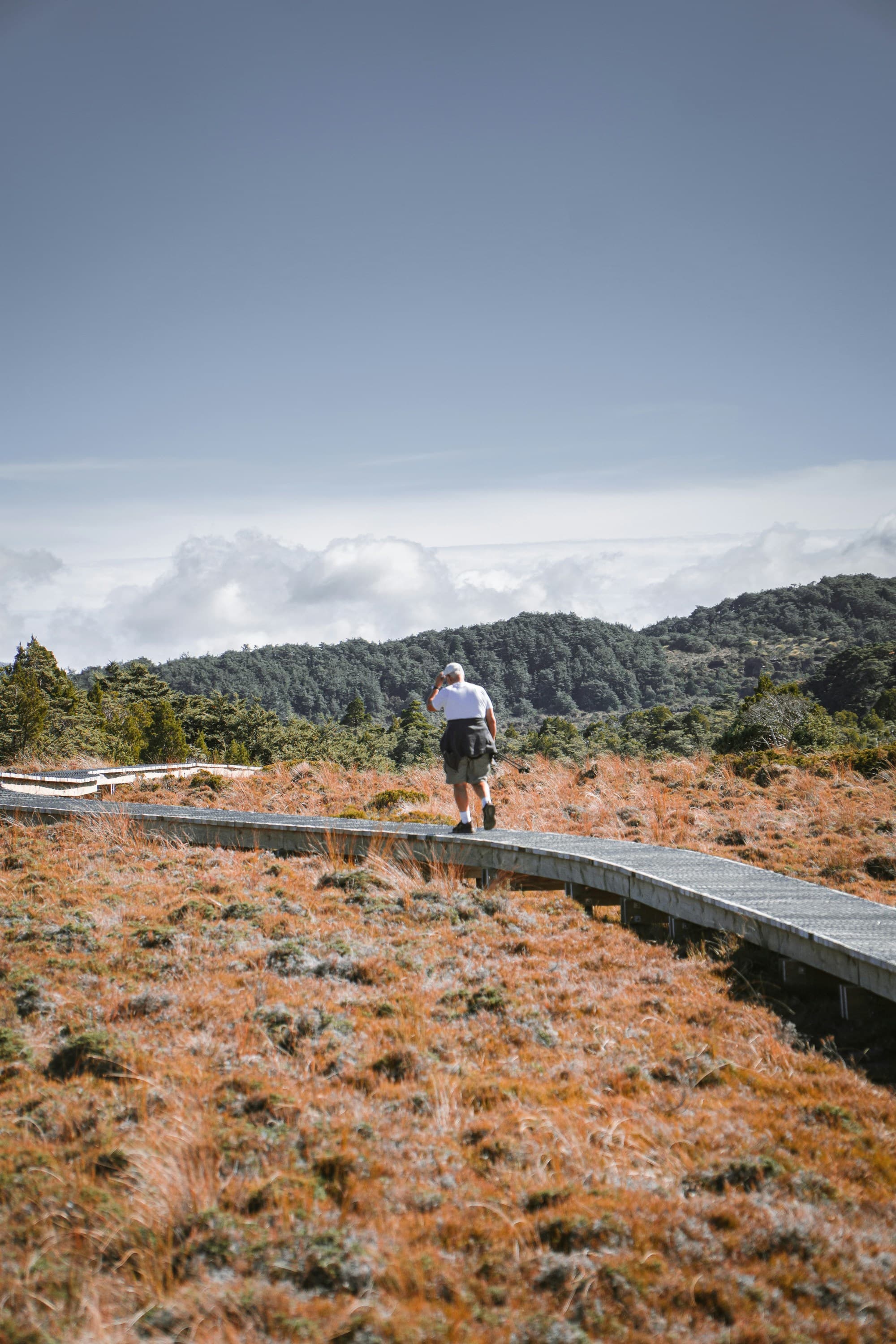 A man walking up a grassy hill along a boardwalk.