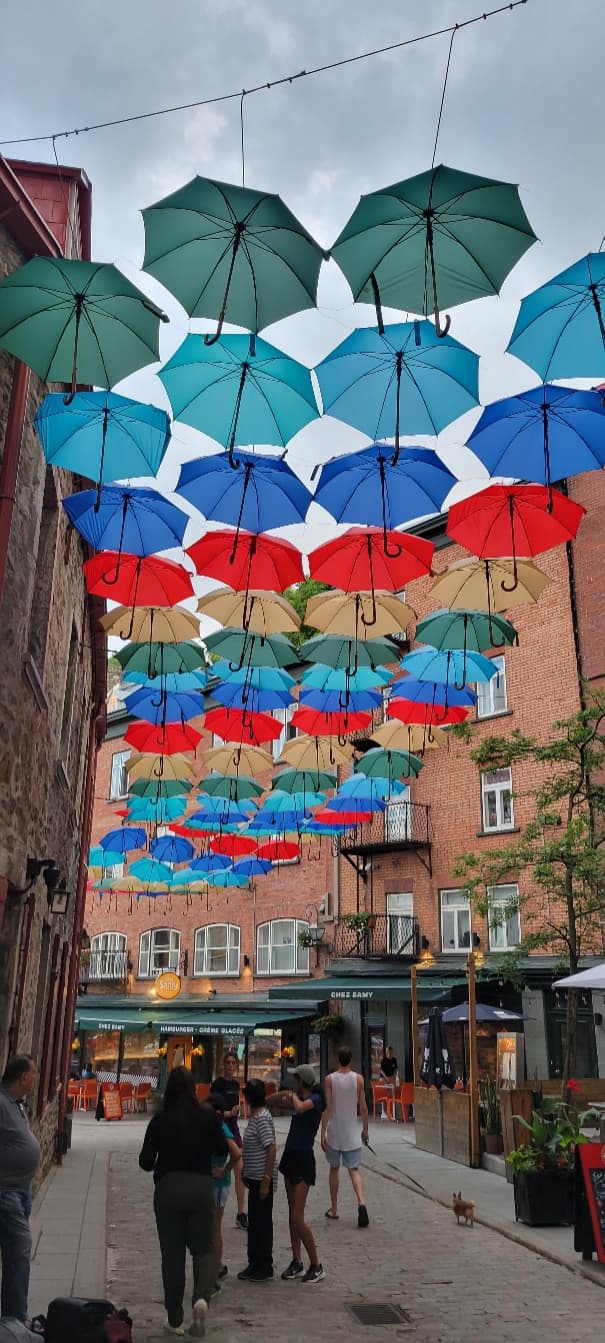 Multicolored umbrellas hung above a city street between buildings