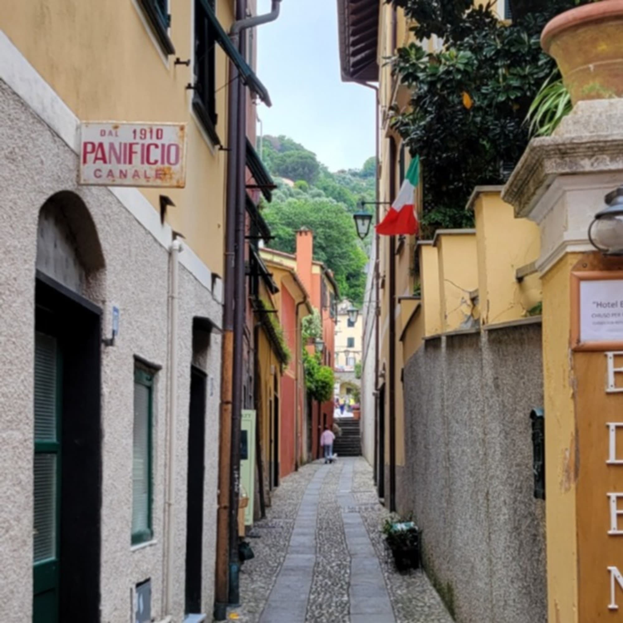 A narrow alleyway with cobblestone pavement between buildings