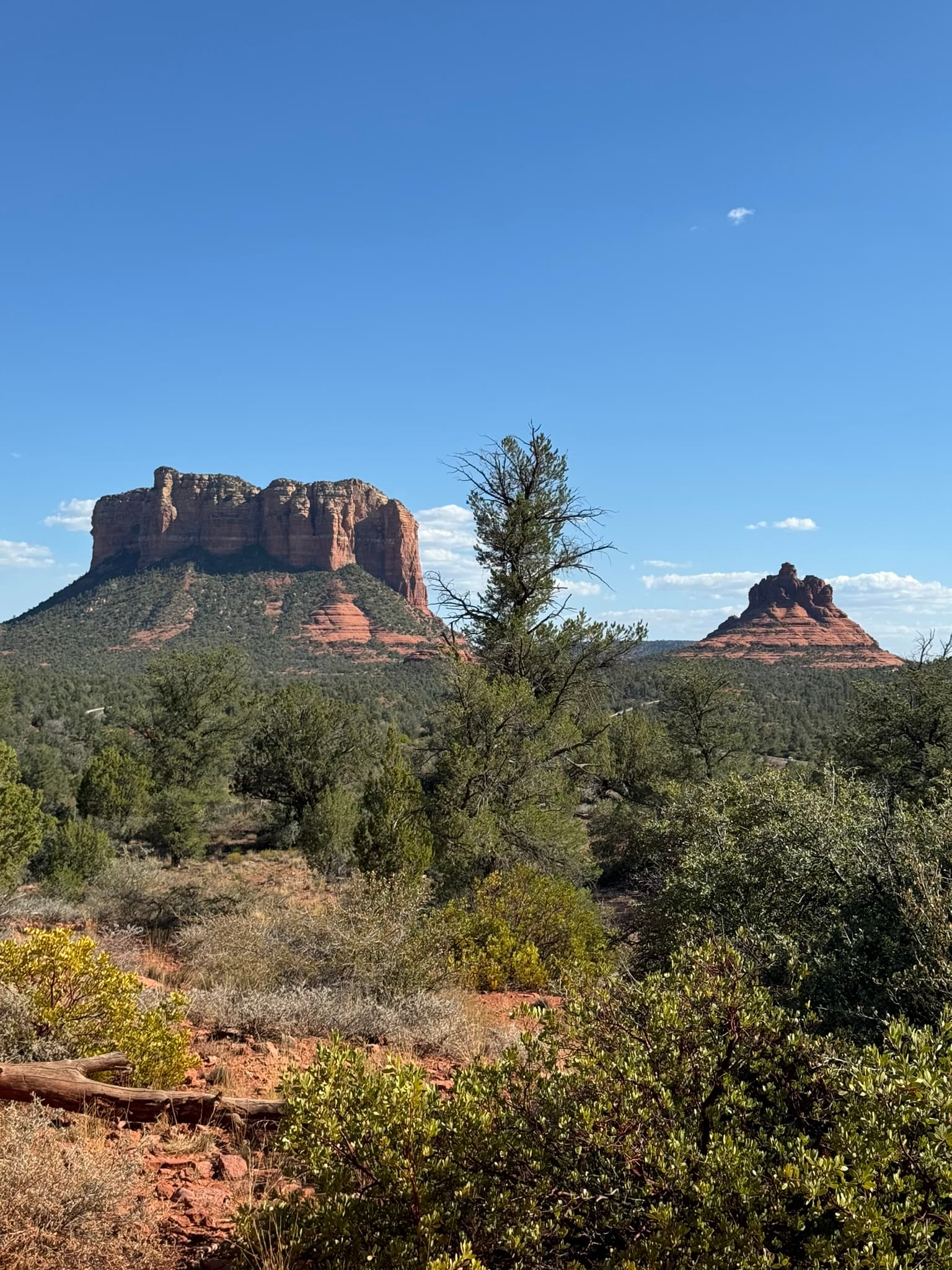 A rock formations in a desert landscape surrounded by shrubs and foliage on a clear day.