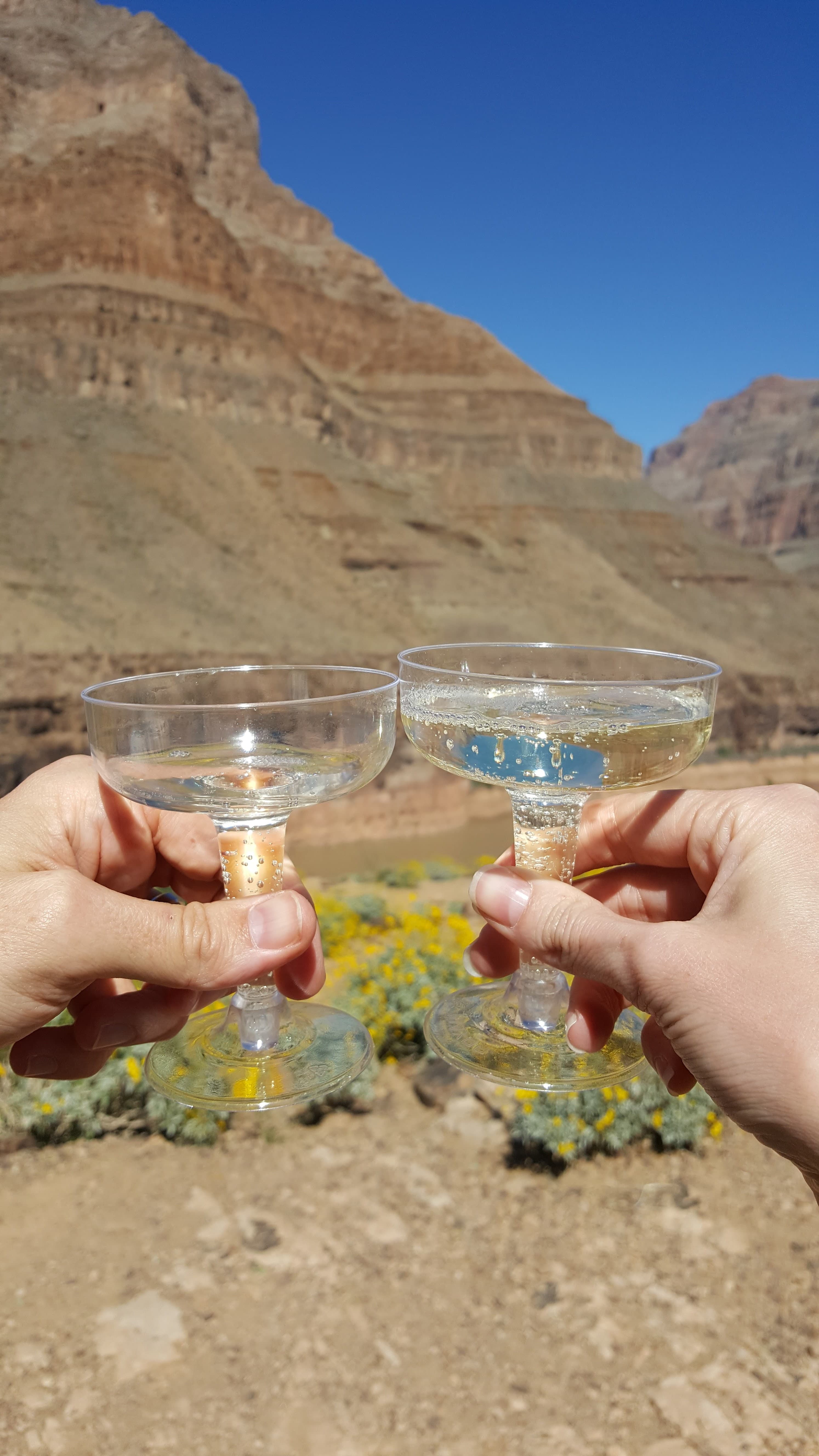 Enjoying the view of Grand Canyon with a champagne toast.