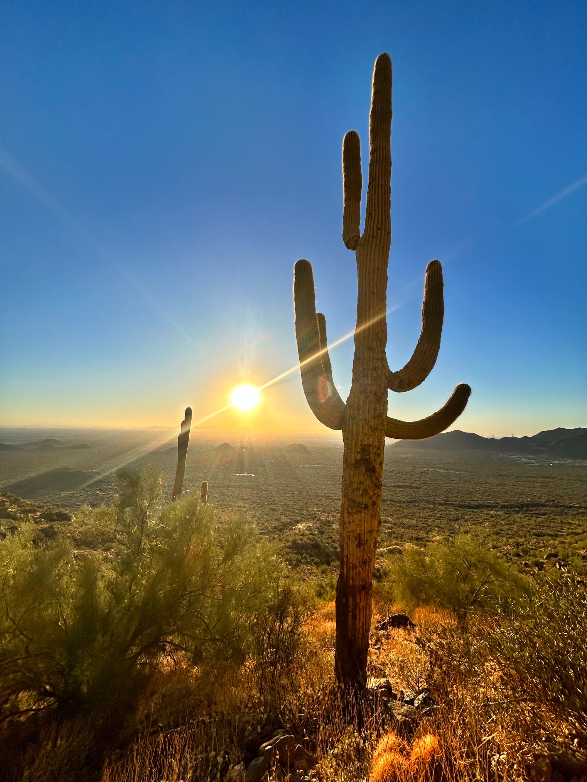 field-arizona-travel-guide