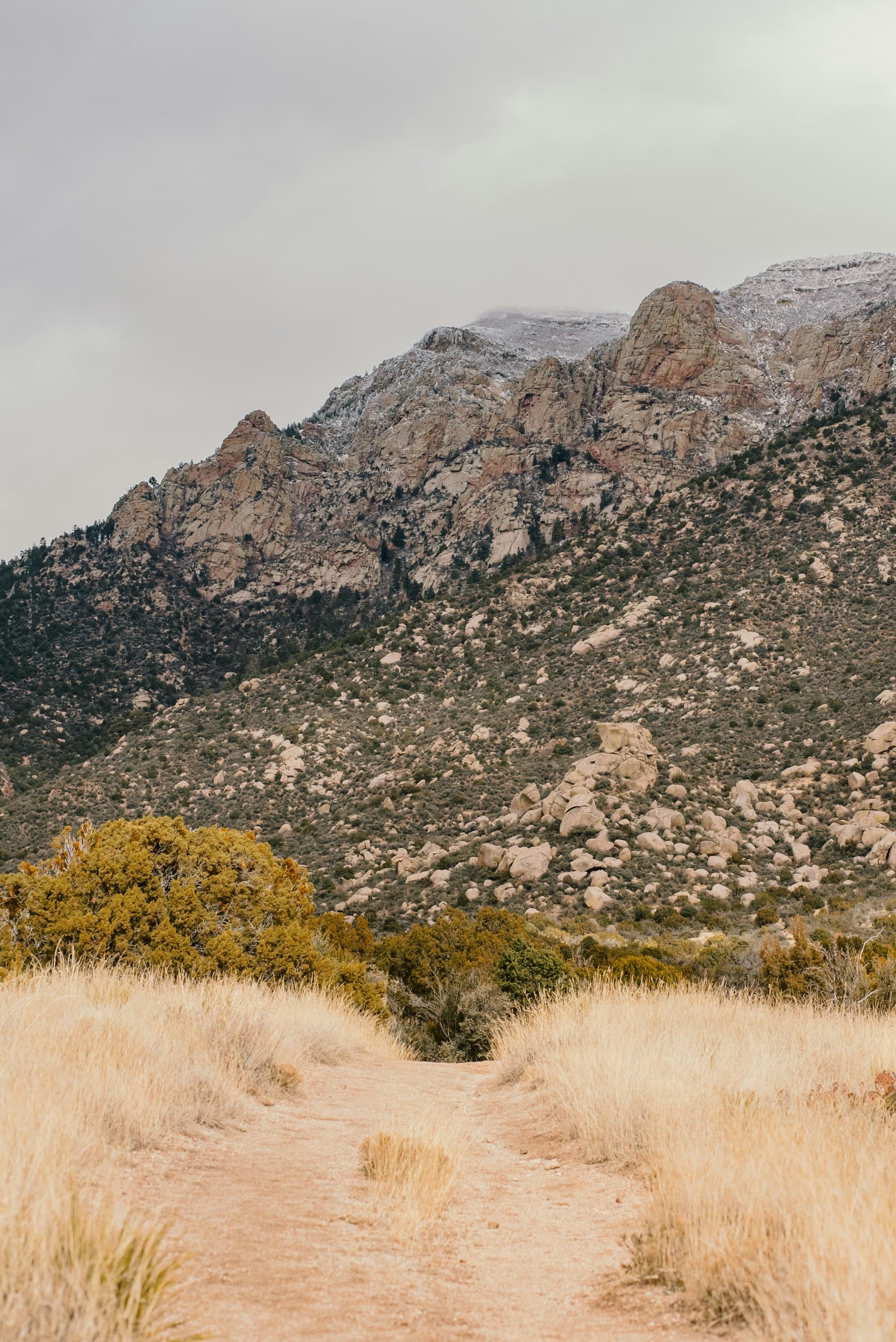 A photo of a trail that leads through dry grasses towards majestic, snow dusted mountains under a cloudy sky.