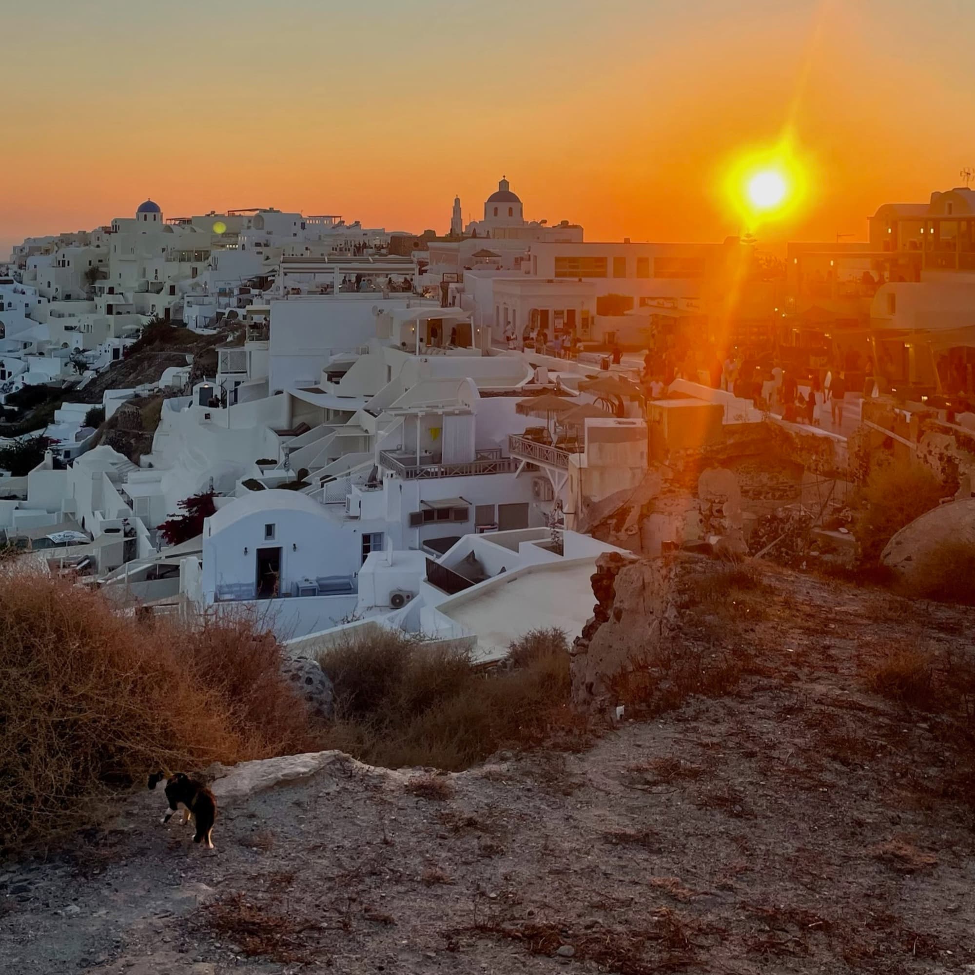 A serene sunset bathes a charming white-washed village in a golden glow.