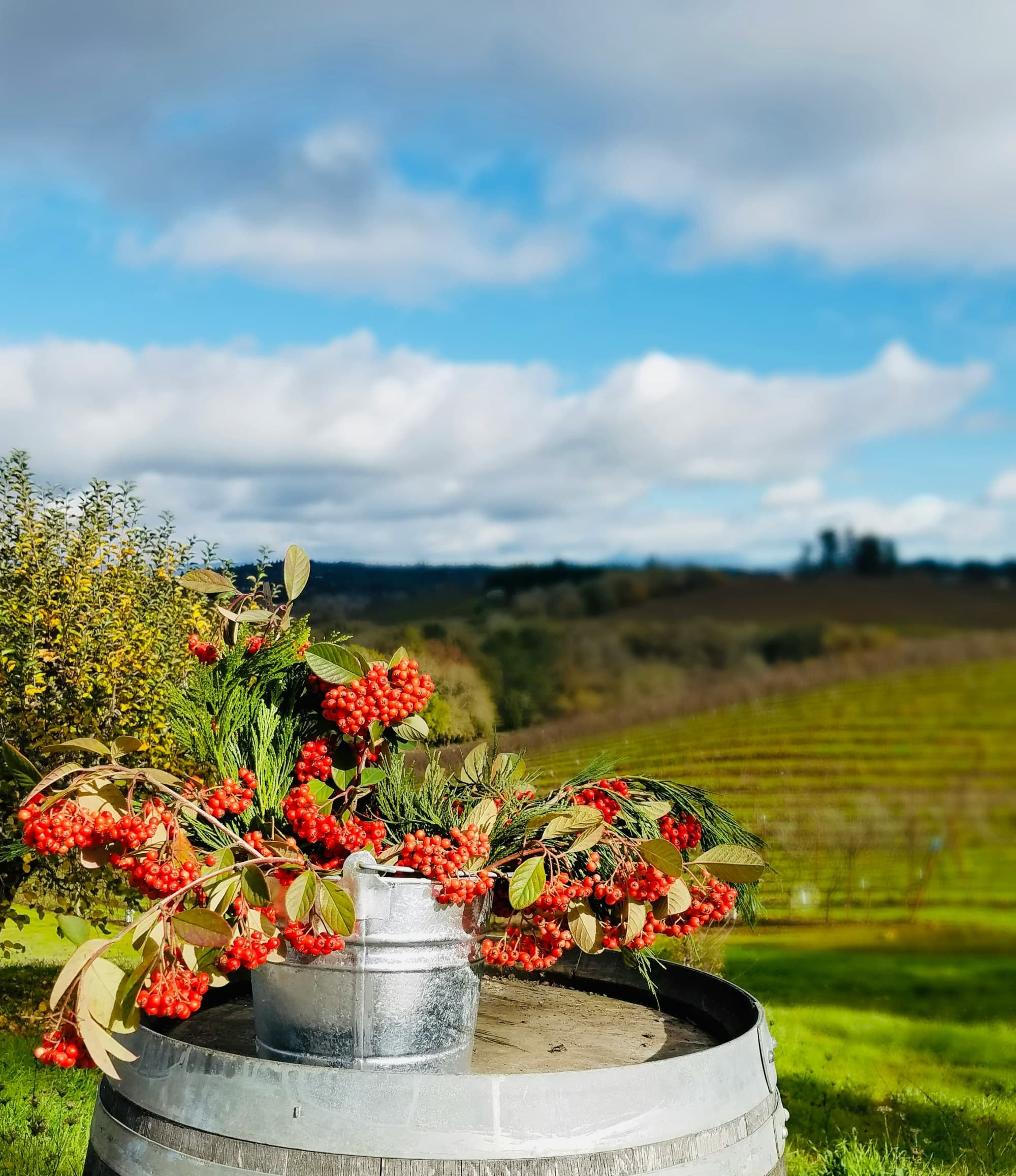 A wine barrel outside in front of a view of a field during the daytime