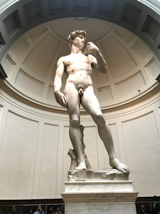 The statue of "David" under a vaulted ceiling.