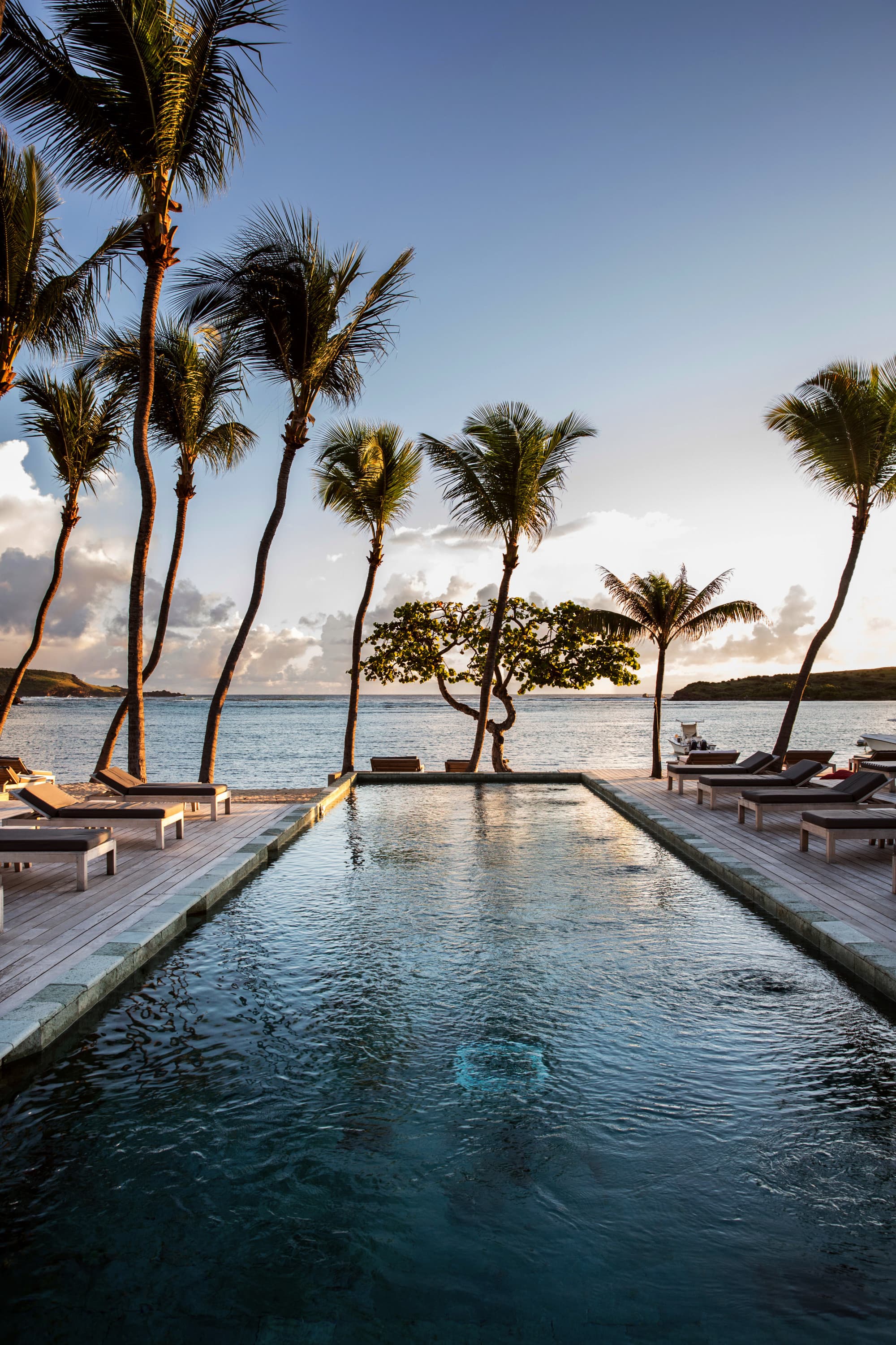 A tranquil infinity pool flanked by palm trees with a view of the ocean and a boat at sunset.